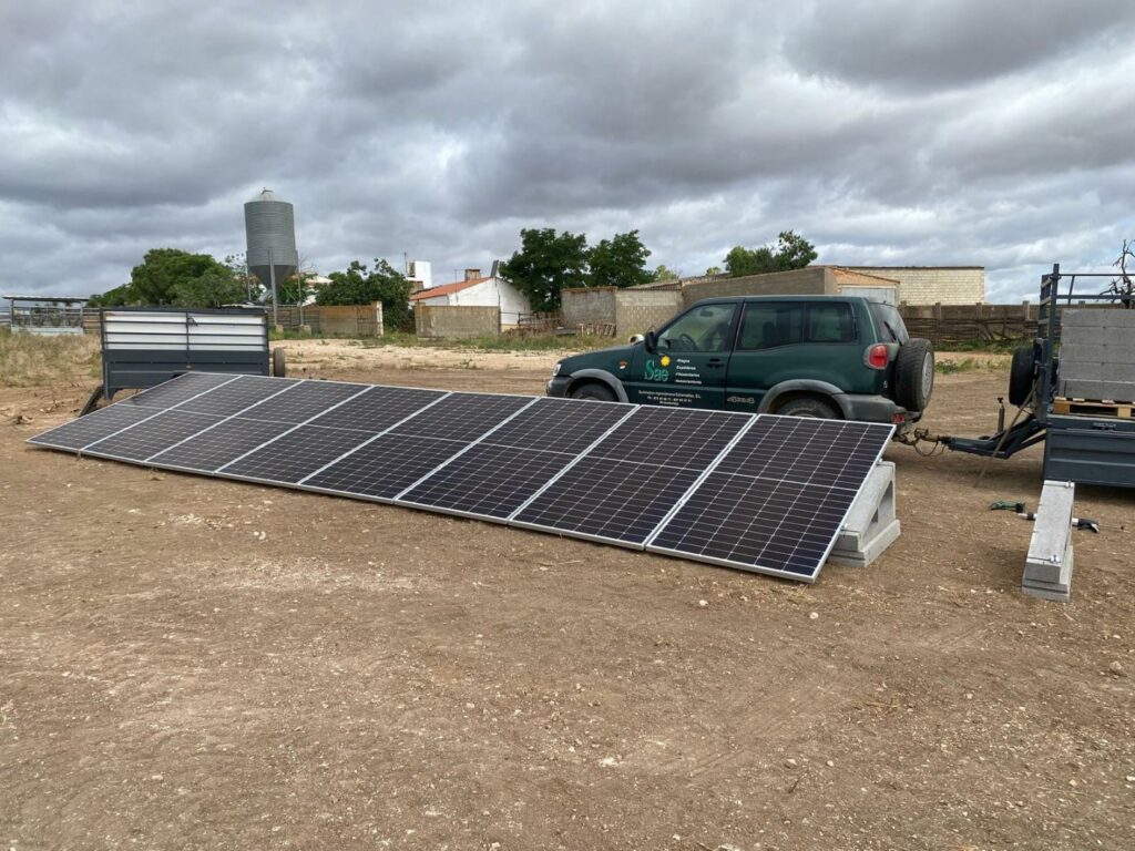 WhatsApp Image 2025-03-19 at 12.18.35 (3)