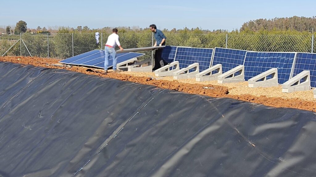 WhatsApp Image 2025-03-19 at 12.33.17 (2)