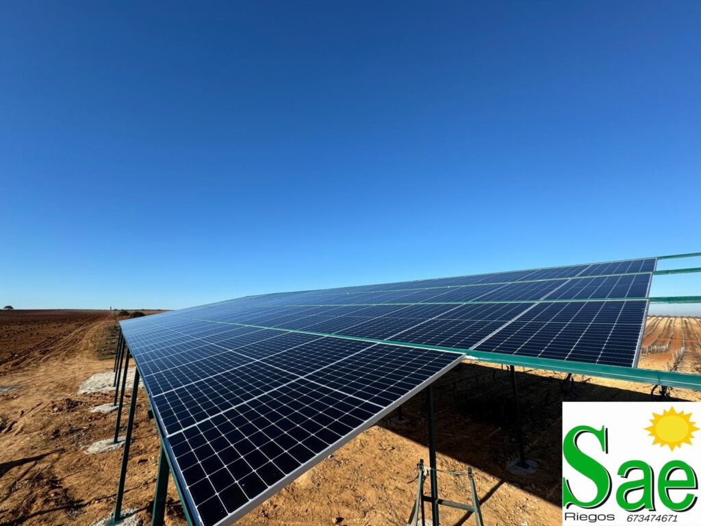 WhatsApp Image 2025-03-20 at 12.23.15 (12)